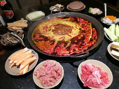 -肥龙火锅(南坪店)