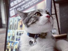 -健怪兽私教健身馆(恒大帝景店)