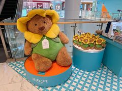 -VENCHI 闻绮(北京汉光店)