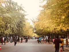 -辽宁大学(崇山校区)