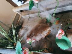 -新渝城·始于2000年(淘金店)
