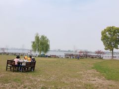 -鹅湖玫瑰文化园