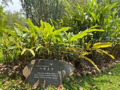 -中国科学院西双版纳热带植物园