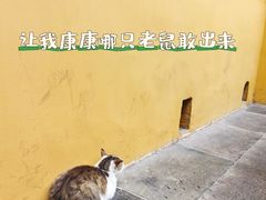 -西园戒幢律寺
