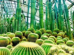 -南山植物园