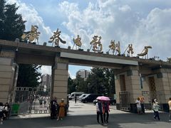 -长影旧址博物馆