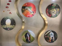 -上海昆虫博物馆