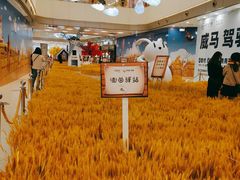 -凯德广场(西城店)