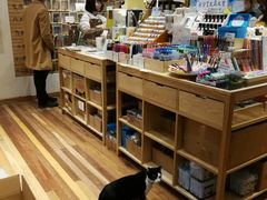 -猫的天空之城概念书店(杭州南宋御街店)