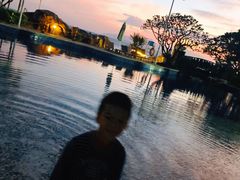 -采粤轩中餐厅(惠州金海湾喜来登度假酒店)