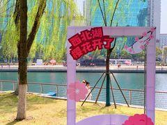 -西北湖绿化广场