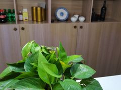 -耳域躺式采耳SPA馆(新街口店)