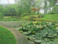 -宁波九龙湖开元度假村