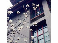 -四川大学(华西校区)