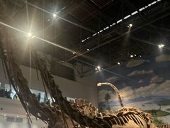 -自贡恐龙博物馆