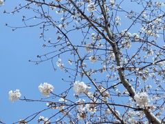 -永乐路-路侧停车场