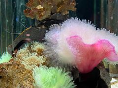 -太平洋海底世界