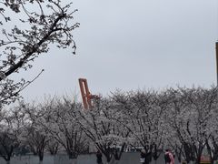 -龙美术馆(西岸馆)