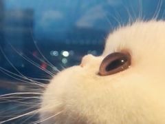 -盒马鲜生(189购物中心店)