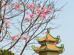 -宝墨园景区