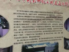 -中国第四纪冰川遗迹陈列馆