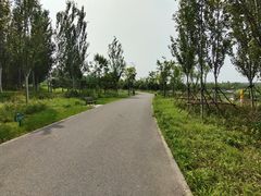 -东郊湿地公园