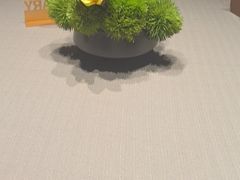 -阿五黄河大鲤鱼(纬三路店)