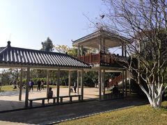 -火炉山森林公园