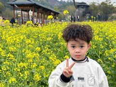 -红山村