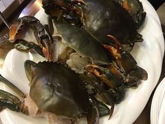 -青蓬蒸汽海鲜·深圳老字号·团建聚会(壹方城店)