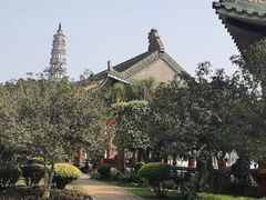 -顺峰山公园