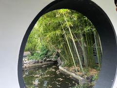 -梅园
