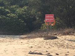 -那琴半岛地质海洋公园