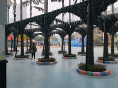 -海合安成都极地海洋公园
