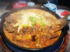 -老板恋上鱼(恒隆广场店)