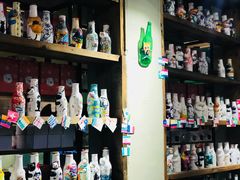 -猫咪博物馆(顶澳仔猫街店)