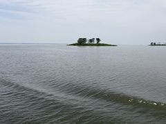 -微山湖红荷湿地景区