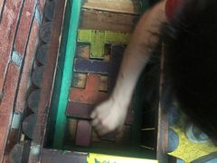 -逃脱反斗城沉浸剧情密室(北京路店)