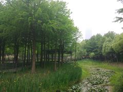 -尚贤河湿地