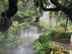 -Chom Cafe and Restaurant