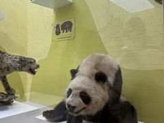 -国家自然博物馆