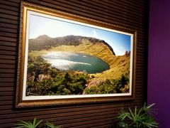-汉拿树木园