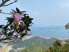 -梧桐山风景名胜区