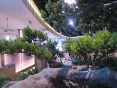 -马家斑.鲜鱼火锅(松湖万科店)