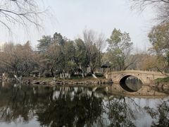 -瀛洲公园