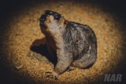 -酷嗒动物文化乐园(cutezoo西溪乐天城店)