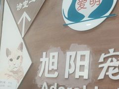 -美联众合宠物医院·爱萌分院·内外科·猫科中心