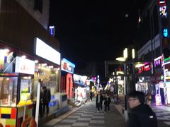 -宝健路步行街(Pedestrian Shopping Street)