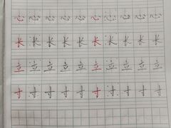 -赵汝飞练字(康城校区)