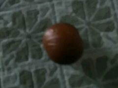 -金栗王(清扬路店)